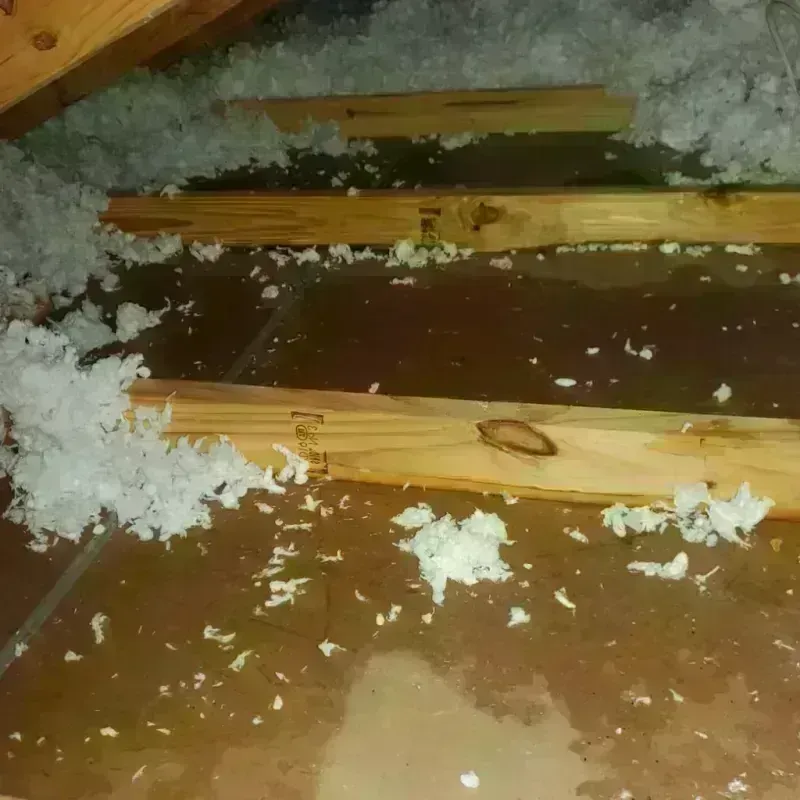 Attic Water Damage in Pike Road, AL